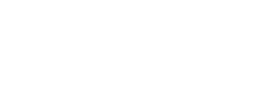 Logo_MZS_Wit